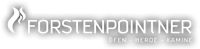 Logo für Ofenprofi